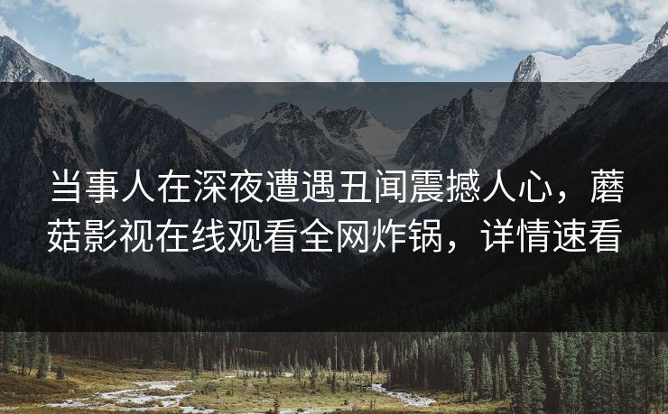 当事人在深夜遭遇丑闻震撼人心,蘑菇影视在线观看全网炸锅,详情速看