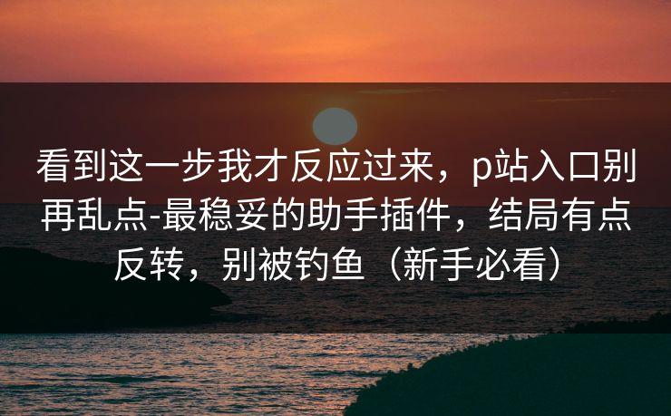 看到这一步我才反应过来，p站入口别再乱点-最稳妥的助手插件，结局有点反转，别被钓鱼（新手必看）